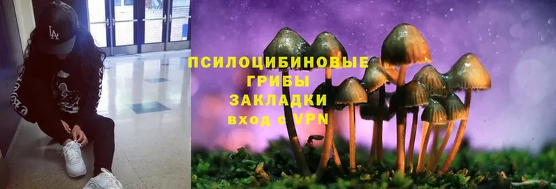 Псилоцибиновые грибы Cubensis  кракен ТОР  Баксан 